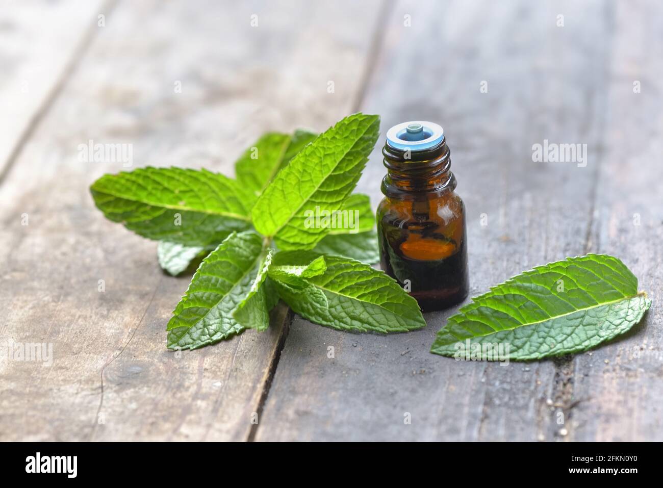 mint leaf with a bottle of aromatic oil on a wooden table Stock Photo