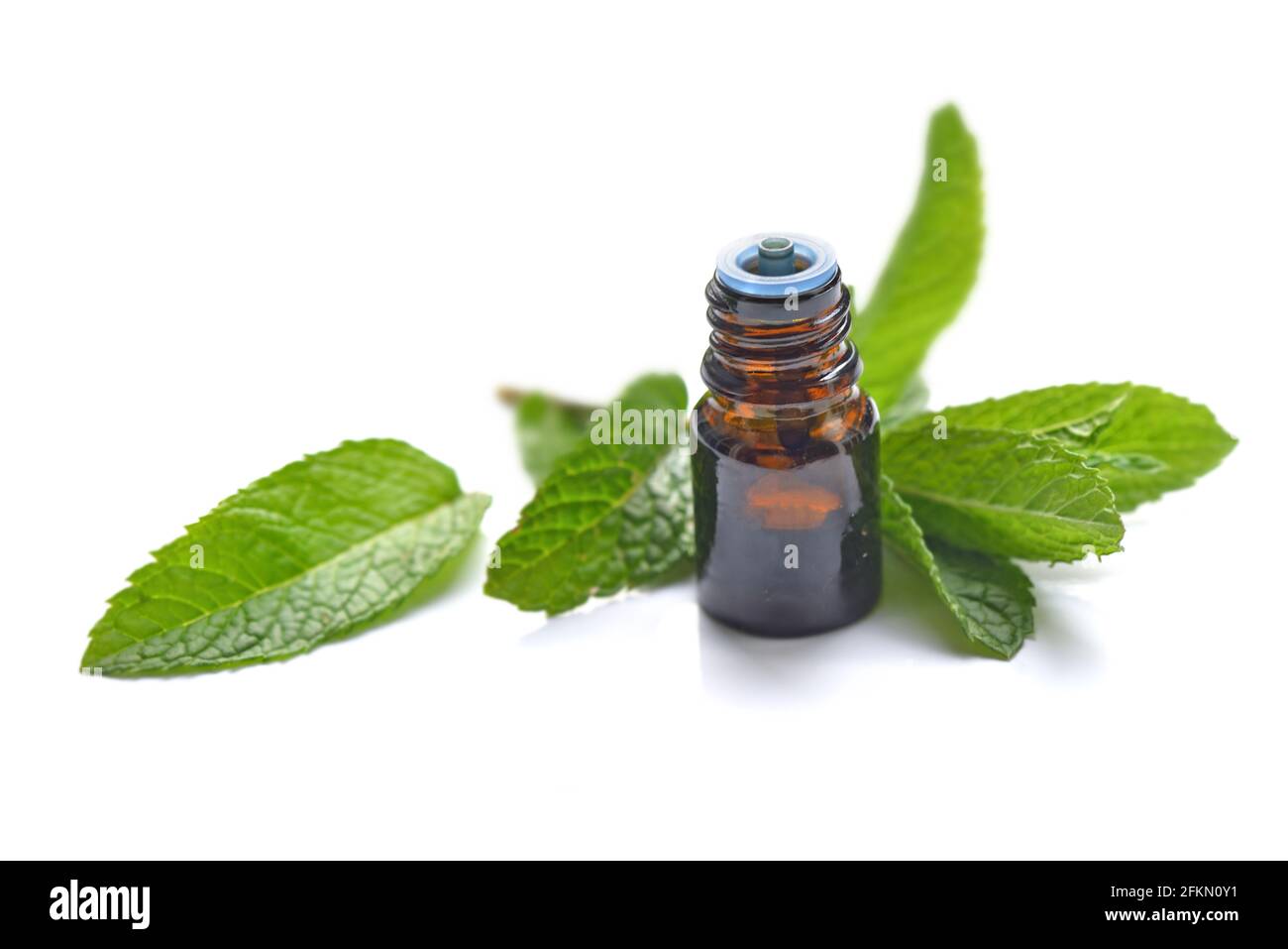 mint leaf with a bottle of aromatic oil onwhite background Stock Photo