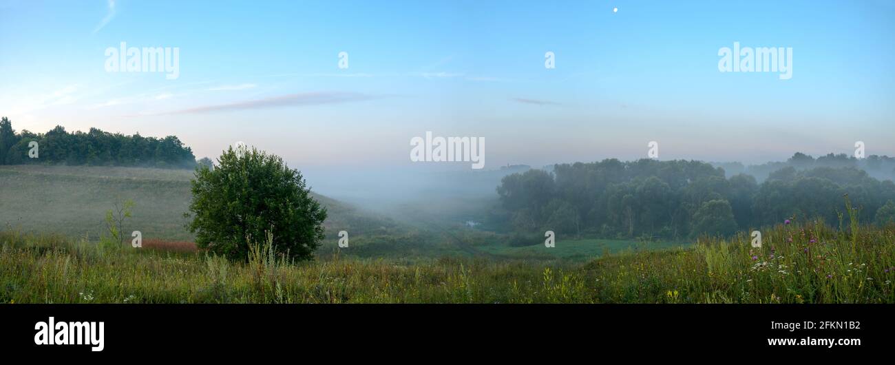 Summer panoramic view of foggy forest and hollow with rural dirt road before the sunrise.Morning calm scene. Stock Photo