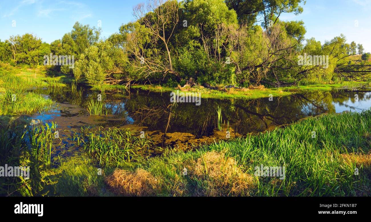 Sunny summer landscape with calm forest river at sunrise. Stock Photo