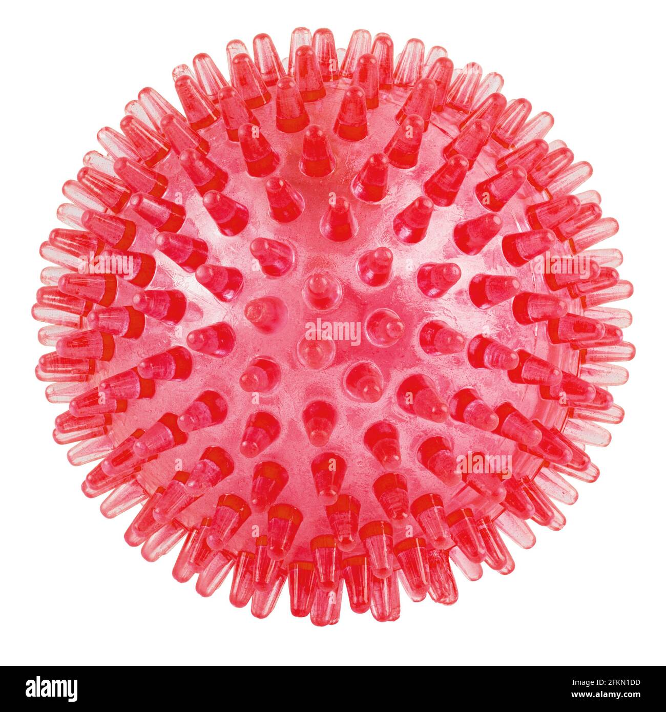 transparent red spiked plastic ball isolated on white background -  massager, dog toy and COVID-19 coronavirus symbol and model Stock Photo -  Alamy
