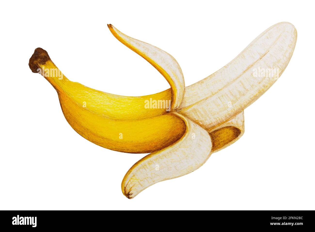 Peeled banana painted by colored pencils, isolated on white with clipping path for easy use. Stock Photo