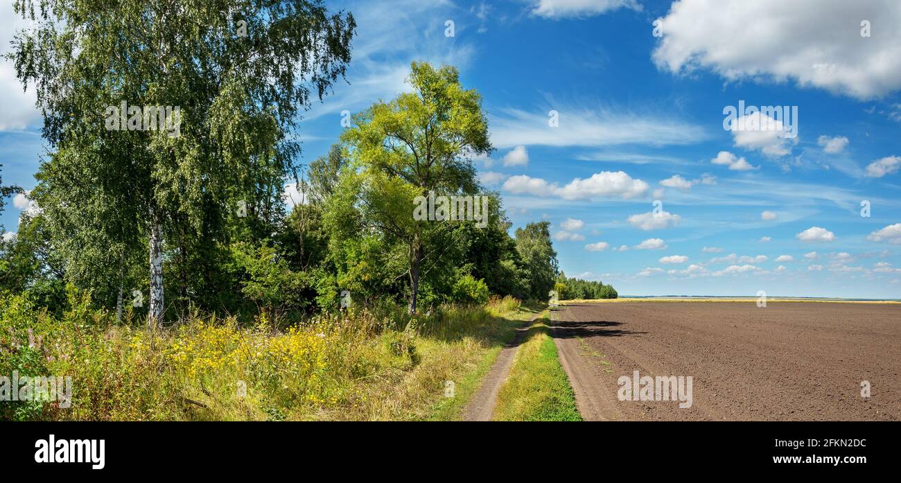 Summer rural panoramic landscape with blue sky with beautiful clouds over the tree lined country dirt road and plowed field Stock Photo