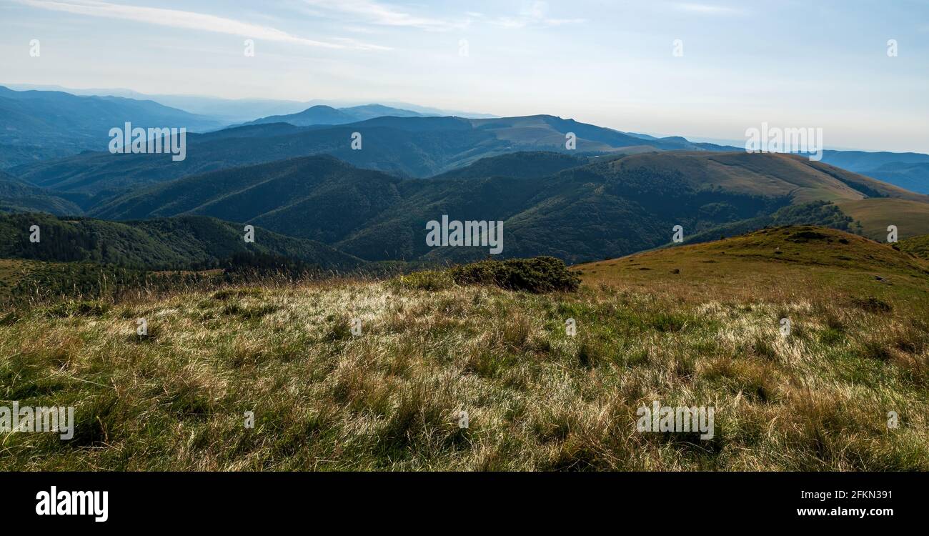 Wild Carpathian mountains in Romania - Muntii Valcan mountain range covered by mountain meadows and deep forest during beautiful summer morning Stock Photo