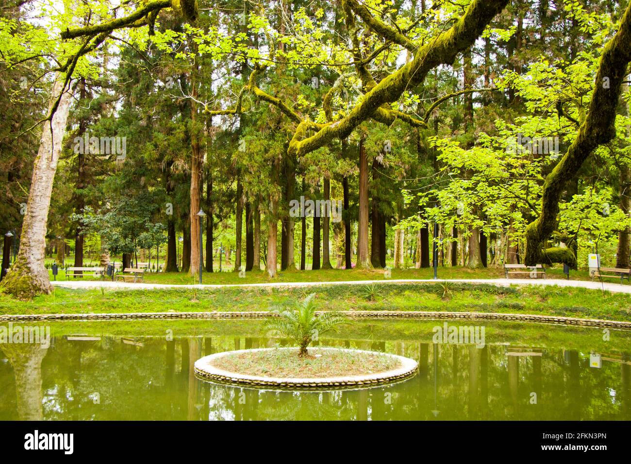 pond-in-the-park-zugdidi-botanic-garden-in-georgia-springtime-stock