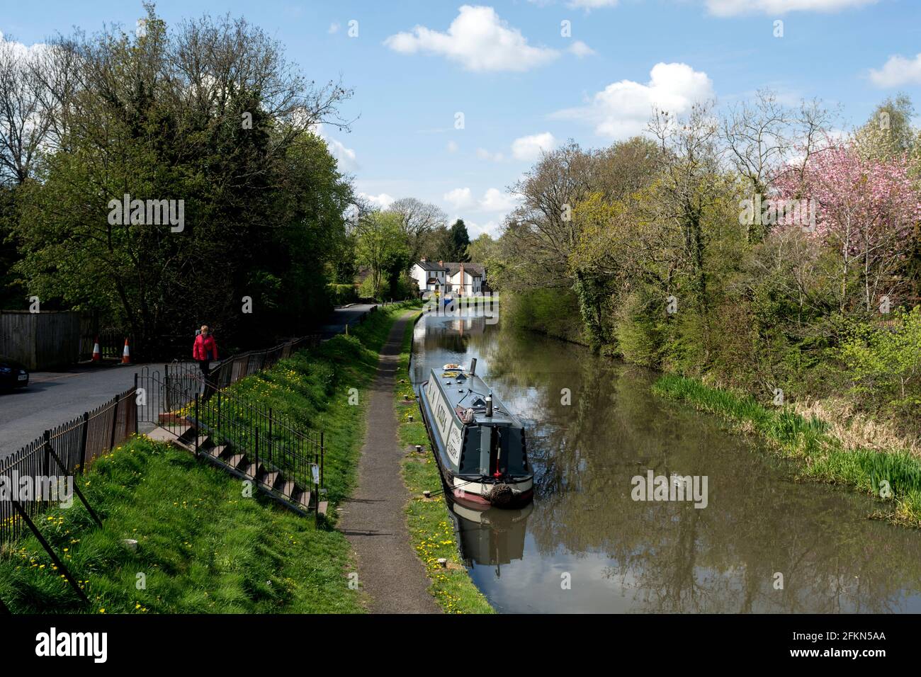 The Worcester and Birmingham Canal at Hopwood, Worcestershire, England, UK Stock Photo