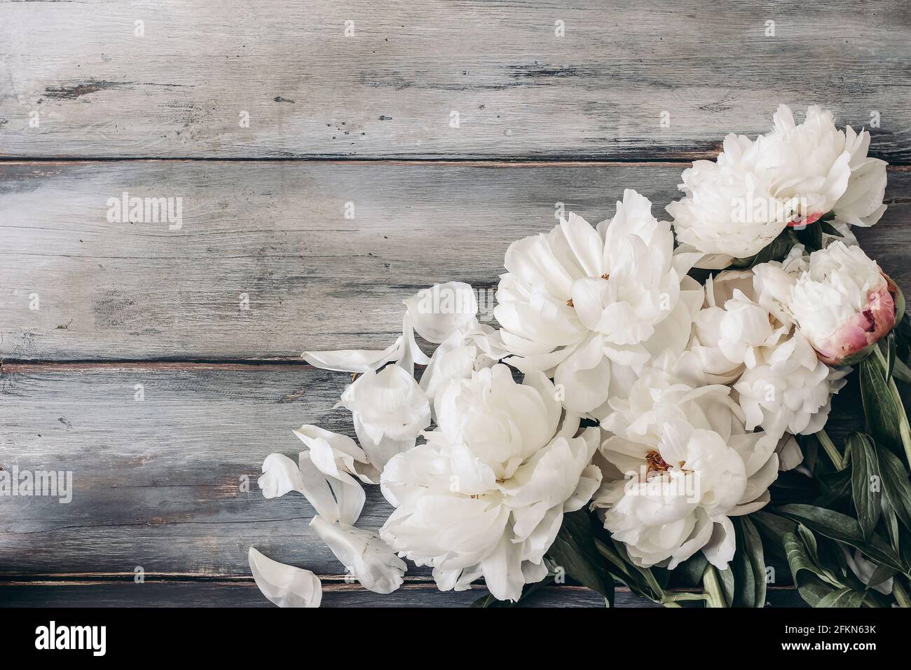 Feminine wedding table composition with white peonies flowers on old shabby wooden background. Empty copy space. Flat lay, top view. Picture for blog Stock Photo