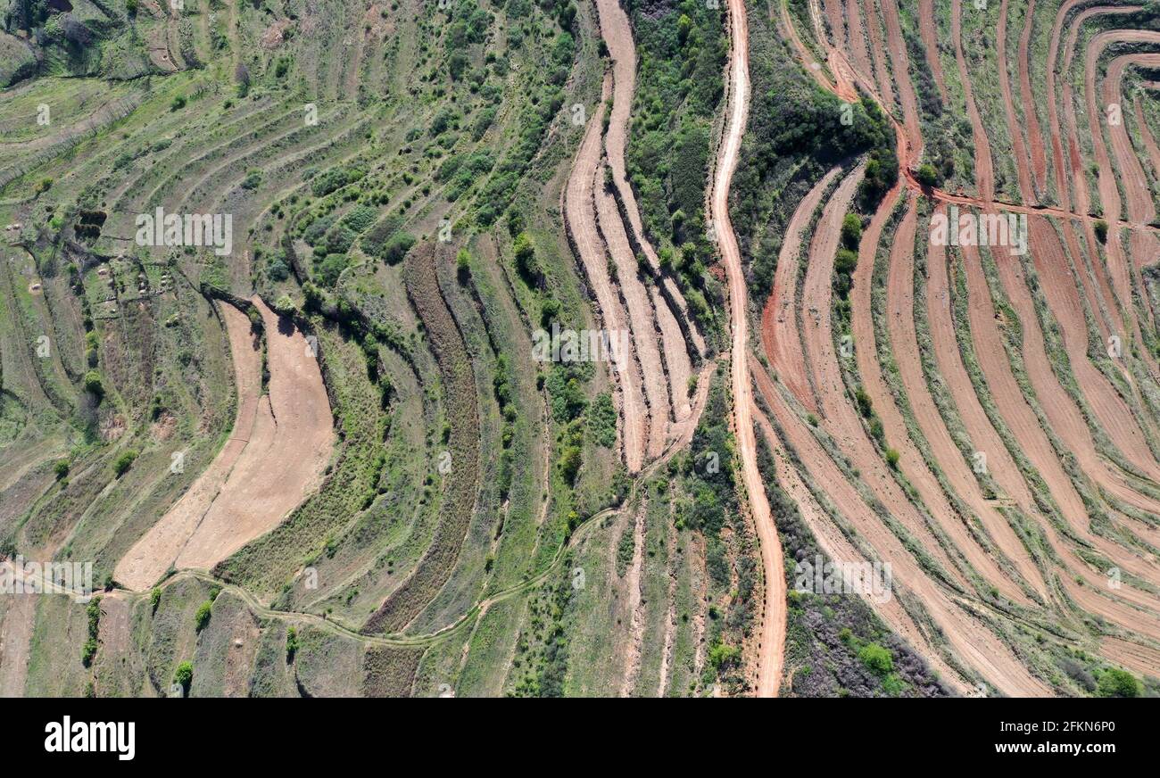 (210503) -- TIANSHUI, May 3, 2021 (Xinhua) -- Aerial photo taken on April 28, 2021 shows the terraced fields of Xinghuarong, an agriculture company, in Mudan Township, Tianshui City of northwest China's Gansu Province. Zhang Shuhao, 42, quit his well-paid job three years ago to start an agriculture company with a few partners sharing the same vision at a mountainous village in Mudan Township, Tianshui City. In three years, Xinghuarong, Zhang's company, contracted 6,200 mu (about 413 hectares) of idle arable lands, where terraced fields, greenhouses, and a reservoir have been built to grow div Stock Photo