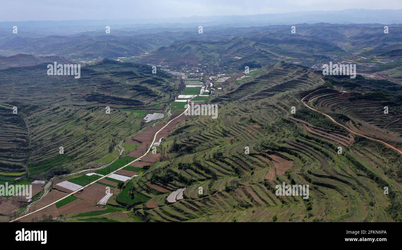 (210503) -- TIANSHUI, May 3, 2021 (Xinhua) -- Aerial photo taken on April 28, 2021 shows the terraced fields of Xinghuarong, an agriculture company, in Mudan Township, Tianshui City of northwest China's Gansu Province. Zhang Shuhao, 42, quit his well-paid job three years ago to start an agriculture company with a few partners sharing the same vision at a mountainous village in Mudan Township, Tianshui City. In three years, Xinghuarong, Zhang's company, contracted 6,200 mu (about 413 hectares) of idle arable lands, where terraced fields, greenhouses, and a reservoir have been built to grow div Stock Photo