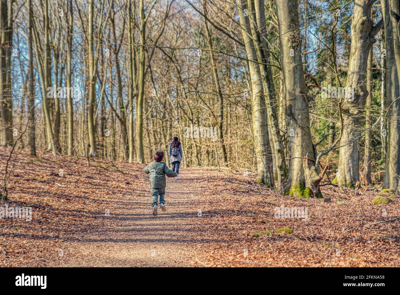 Mother and son stroll on a beaten path in a bare forest. Kid runs free on a trail in the woods in pursue of his walking mum. Family day in the nature Stock Photo