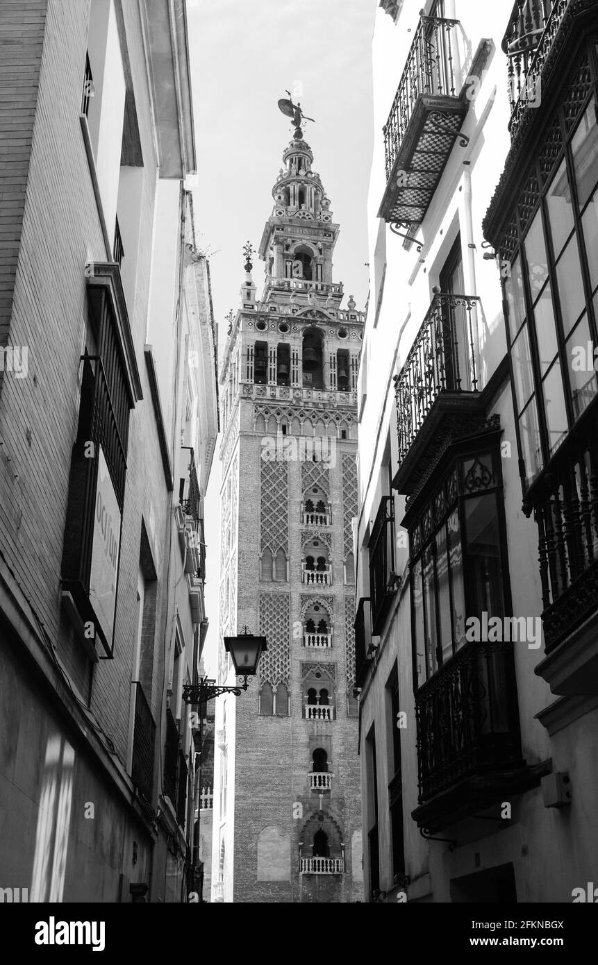 La Giralda is the bell tower of the Cathedral of Seville in Spain, one of the largest churches in the world Stock Photo