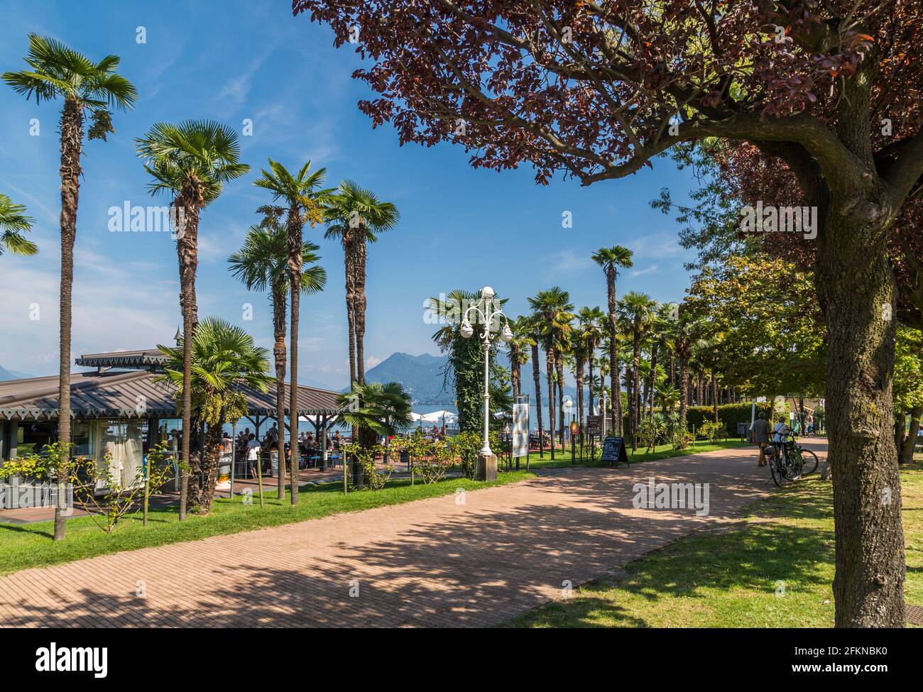 Lakeside restaurant and palm tree lined promenade in Stresa, Lago Maggiore, Piedmont, Italy, Europe Stock Photo