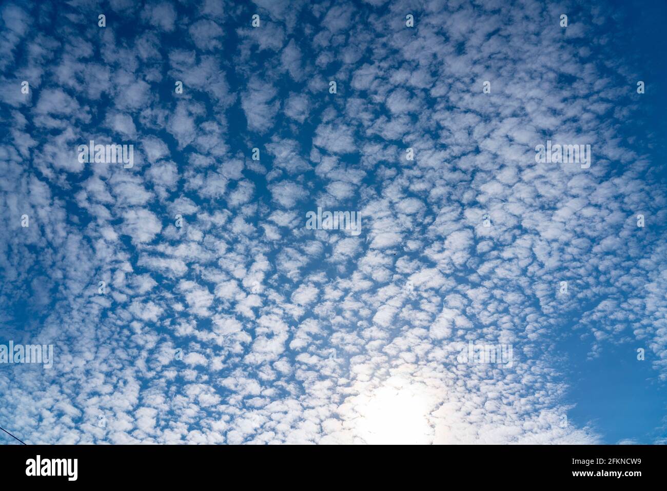 Sky, fleecy clouds, cumulus clouds, Stock Photo