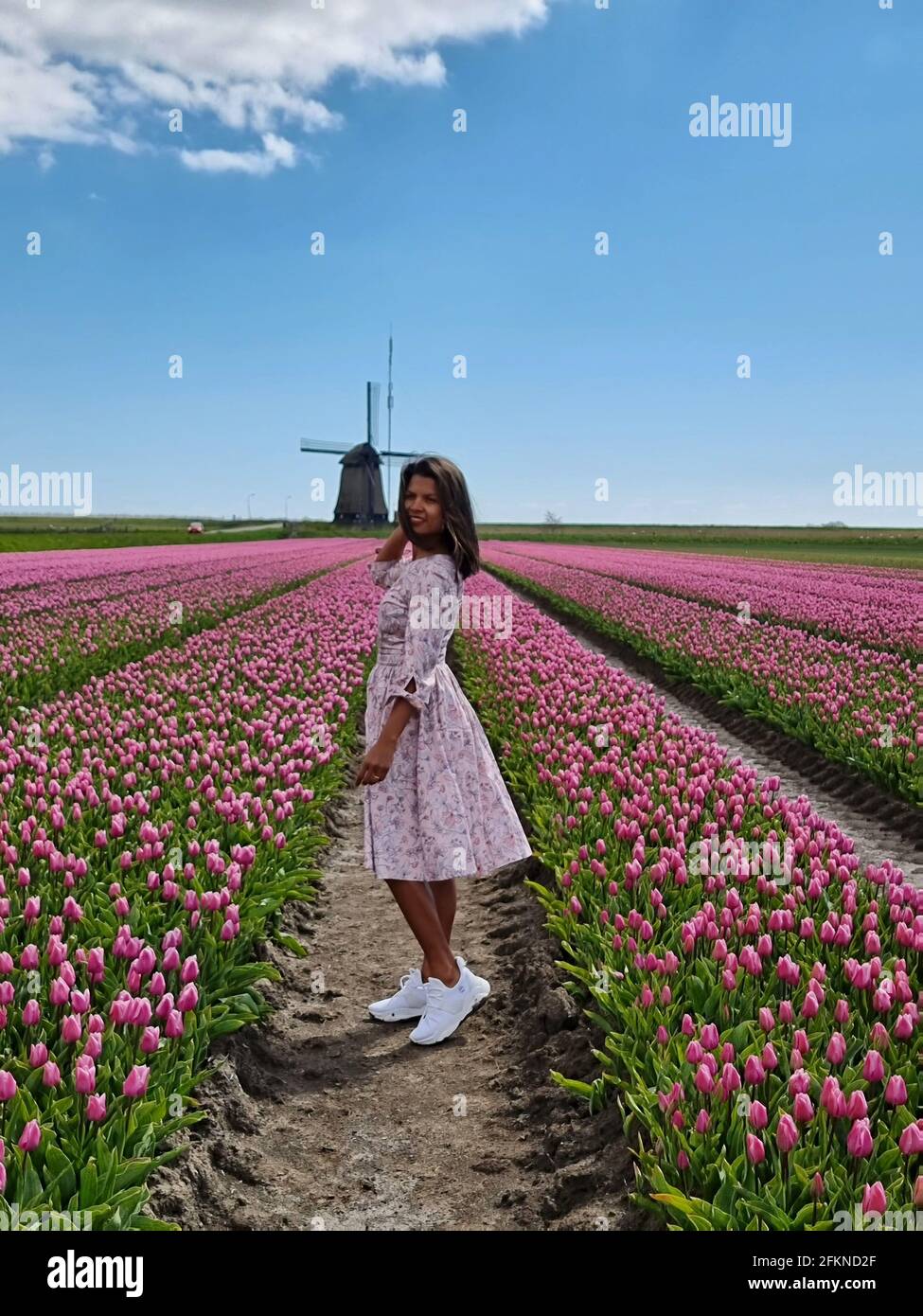 Tulip field in The Netherlands, colorful tulip fields in Flevoland Noordoostpolder  Holland, Dutch Spring views in the Netherlands, woman mid age in flower  field Stock Photo - Alamy