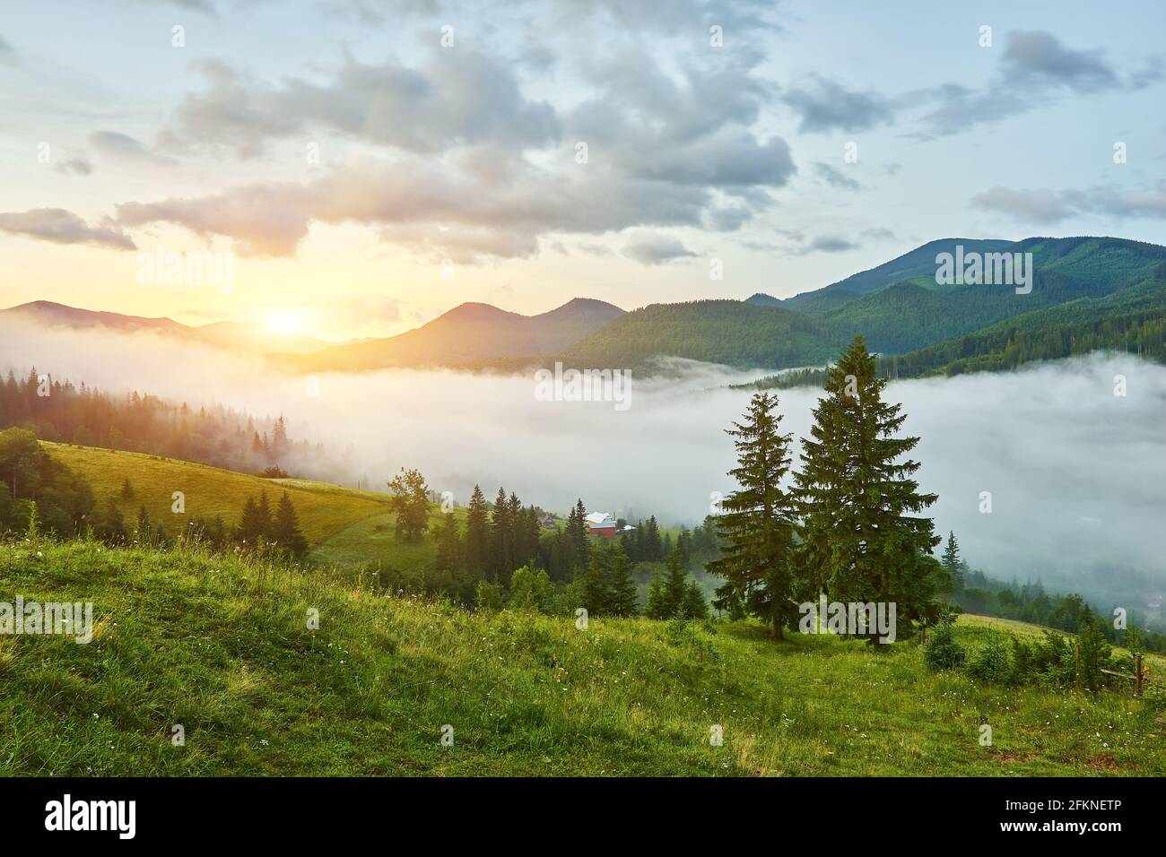 Landscape with fog in mountains and rows of trees Stock Photo - Alamy