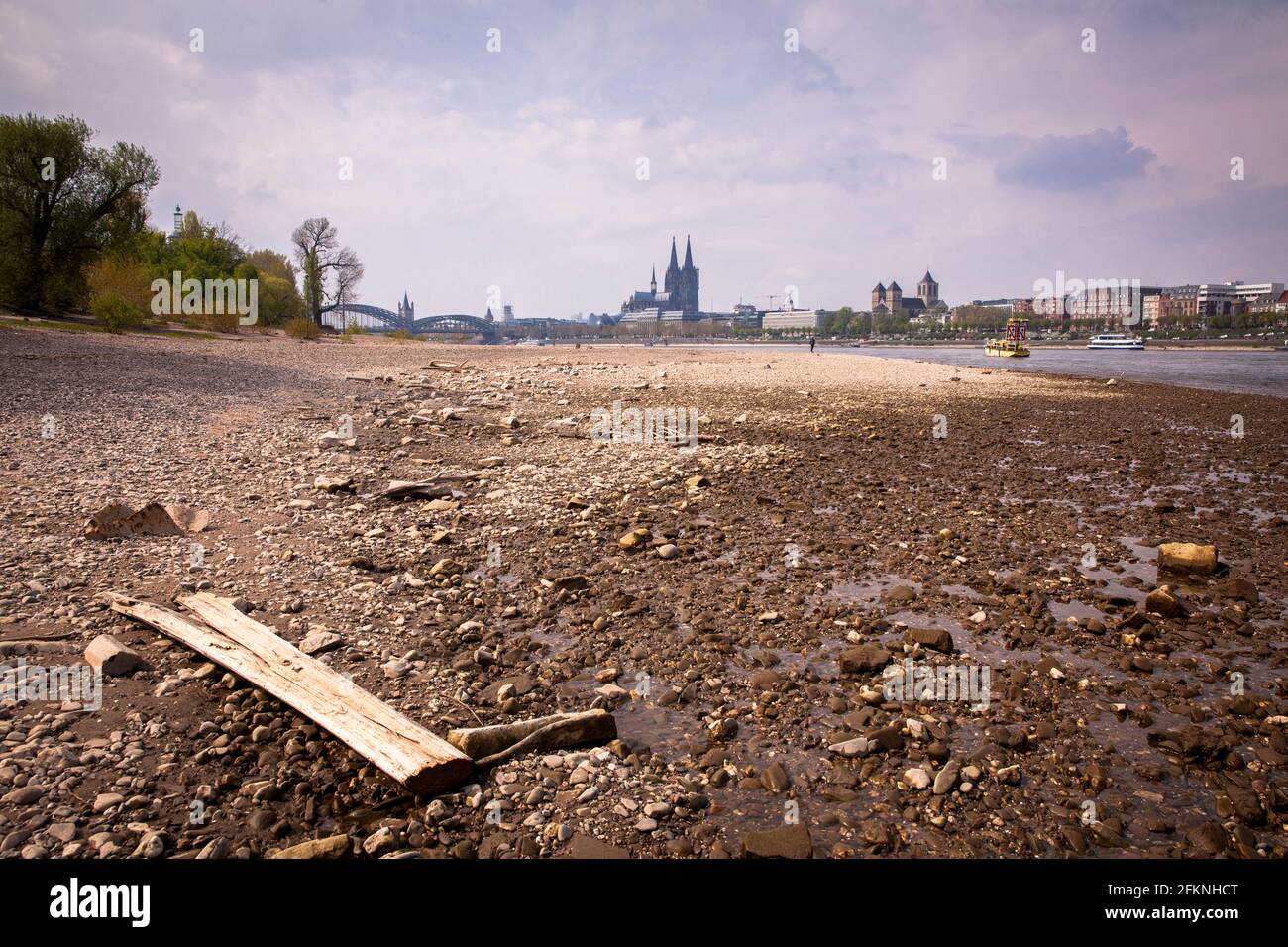 low level of the river Rhine, April 29, 2021, banks of the river Rhine in the district Deutz, view to the cathedral, Cologne, Germany.  niedriger Wass Stock Photo