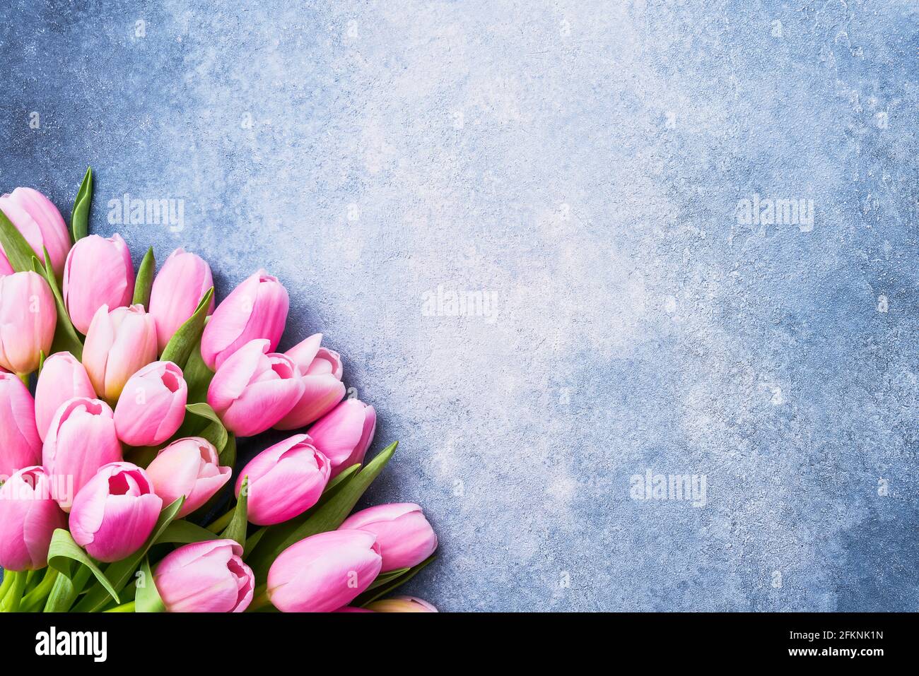 Bouquet of pink tulips on a bright blue background. Mothers Day, Valentines Day, birthday celebration concept. Top view, copy space for text Stock Photo