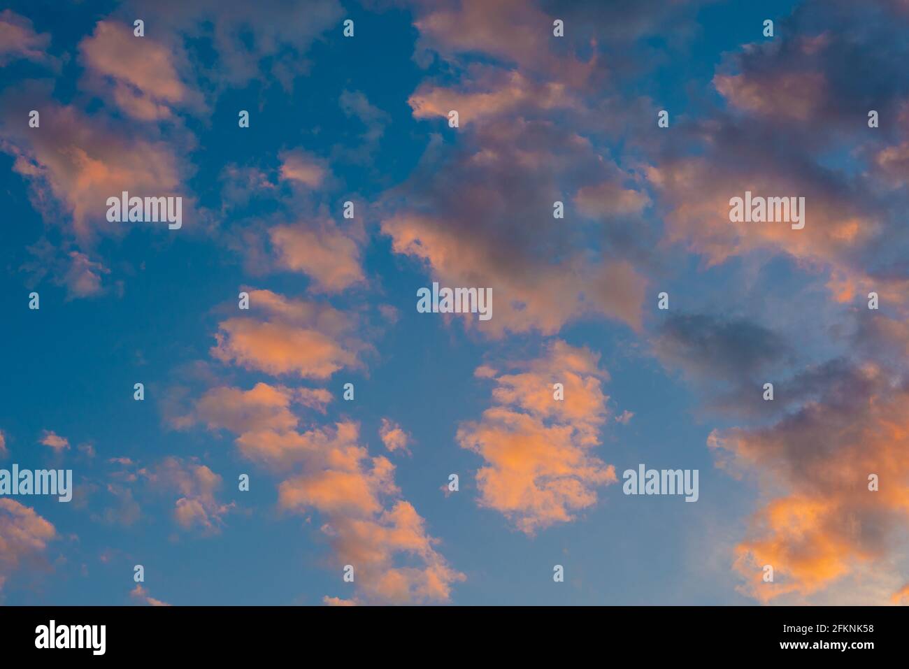 scenic sunrise cloudscape sky with pink black and white coloured cumulus cloud formation in a pastel blue sky. Sunset or sunrise background image Stock Photo