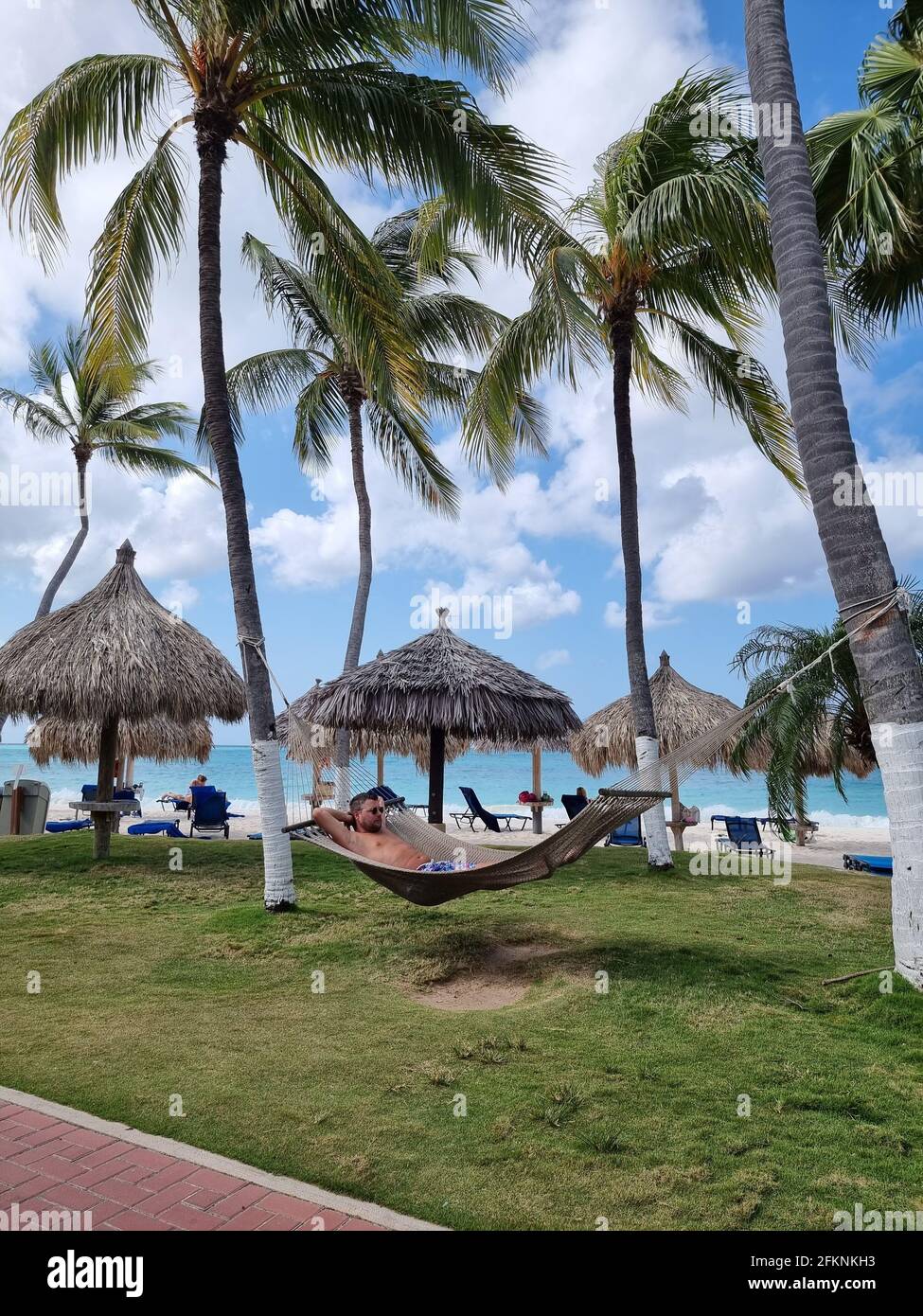 Palm Beach Aruba Caribbean, white long sandy beach with palm trees at ...