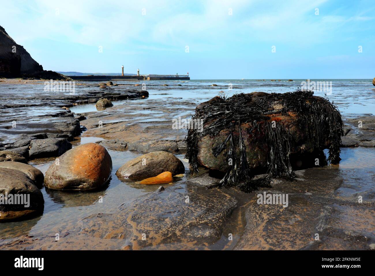 Fossil hunting on Whitby Beach Stock Photo Alamy