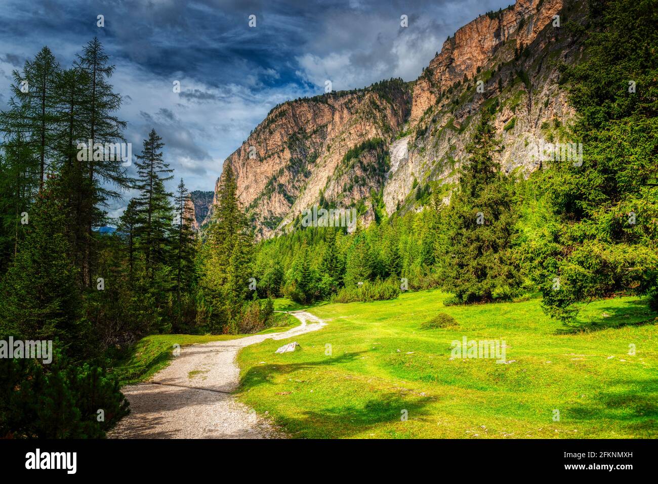Mountain path through the forest in summer sunny day, Val Gardena - Dolomites Stock Photo