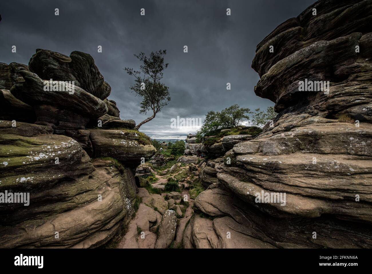 Brimham Rocks, North Yorkshire, UK. Stock Photo