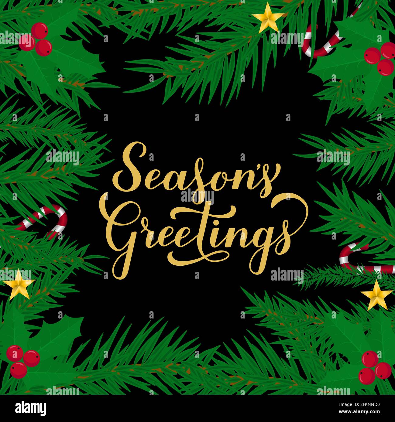 Season s Greetings calligraphy hand lettering with fir tree branches ...