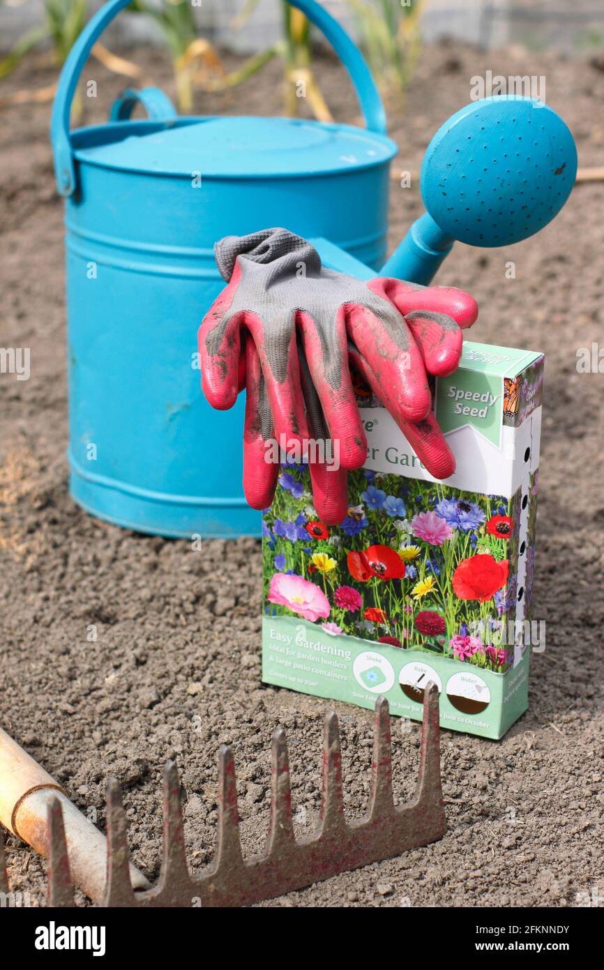 Wildflower seeds hires stock photography and images Alamy