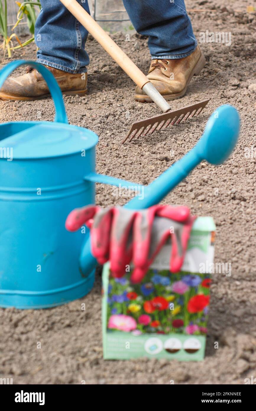 Sowing wildflowers. Preparing a seed bed before sowing wild flower seed. UK Stock Photo