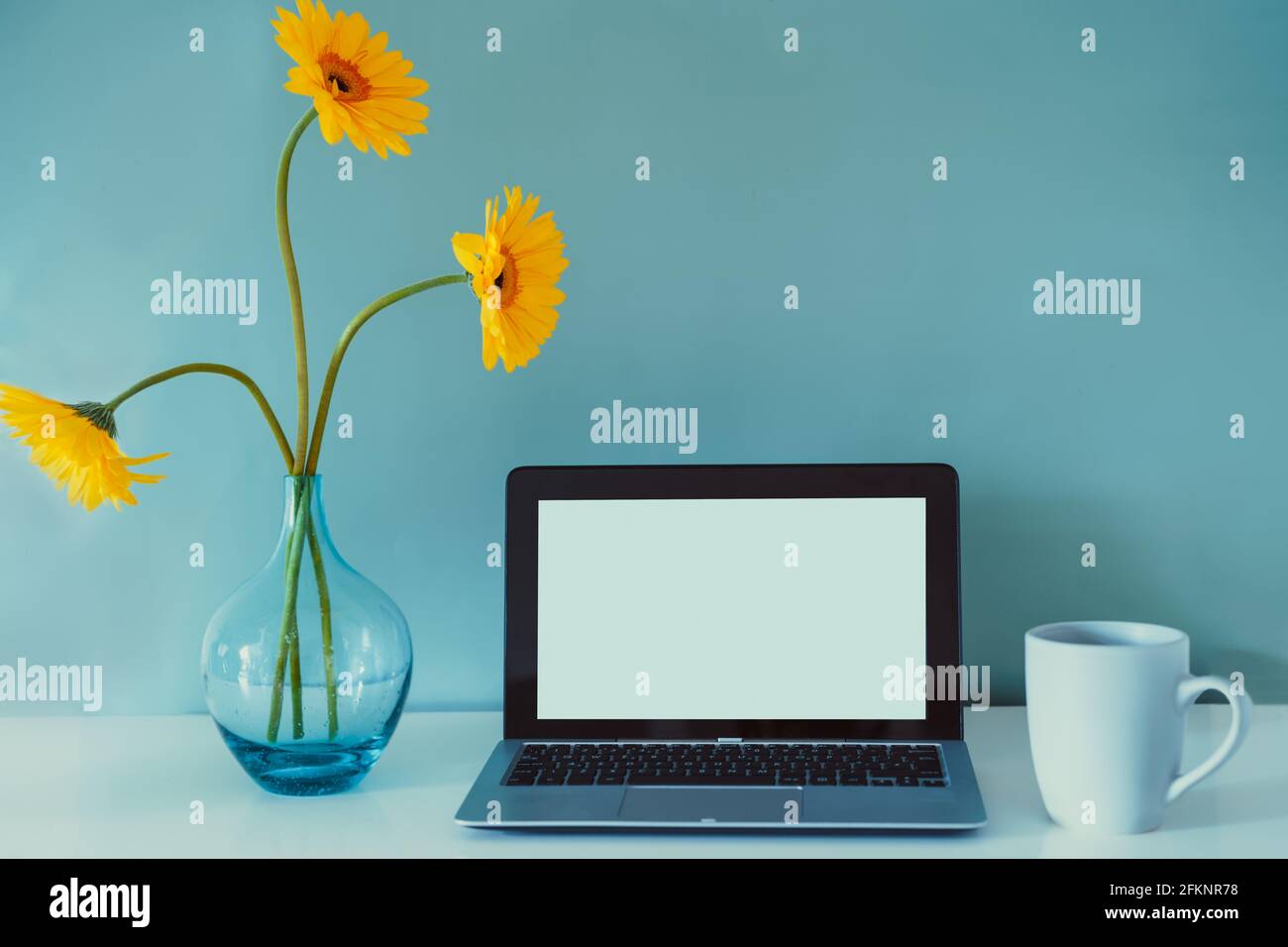 The modern workplace - desk with laptop mockup white empty screen, coffee cup, and fresh yellow gerbera flowers in the vase on the blue background Stock Photo