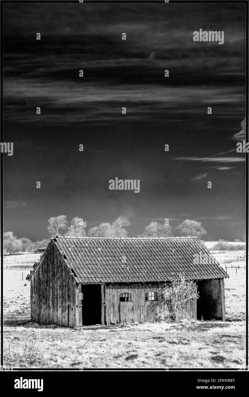 Abandoned old barn used by domesticated animals shot in black and white with infrared. Stock Photo