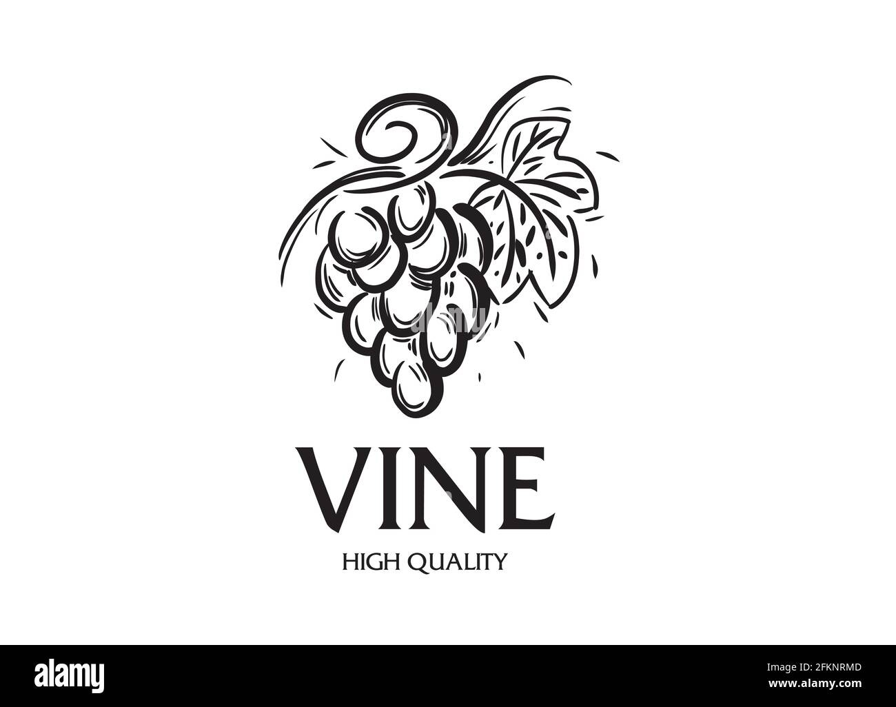 Vector logo drawn by hand. Bunch of grapes for making wine Stock Vector  Image \u0026 Art - Alamy, image size:1300x1026