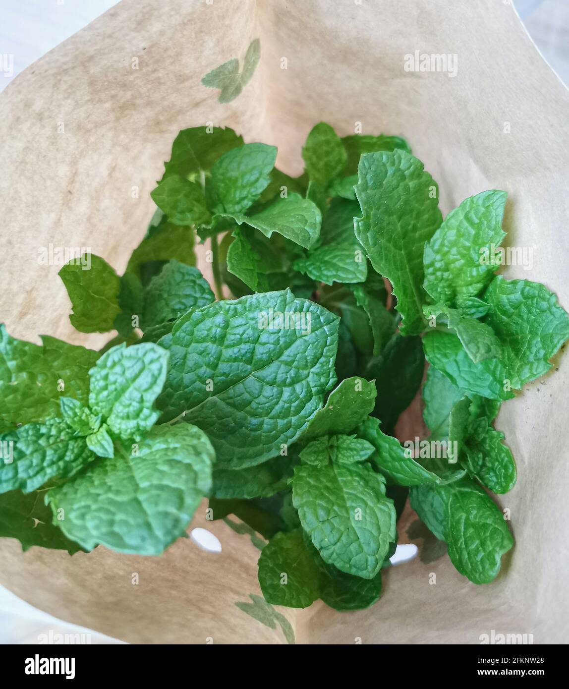 Closeup of fresh green mint leaves Stock Photo