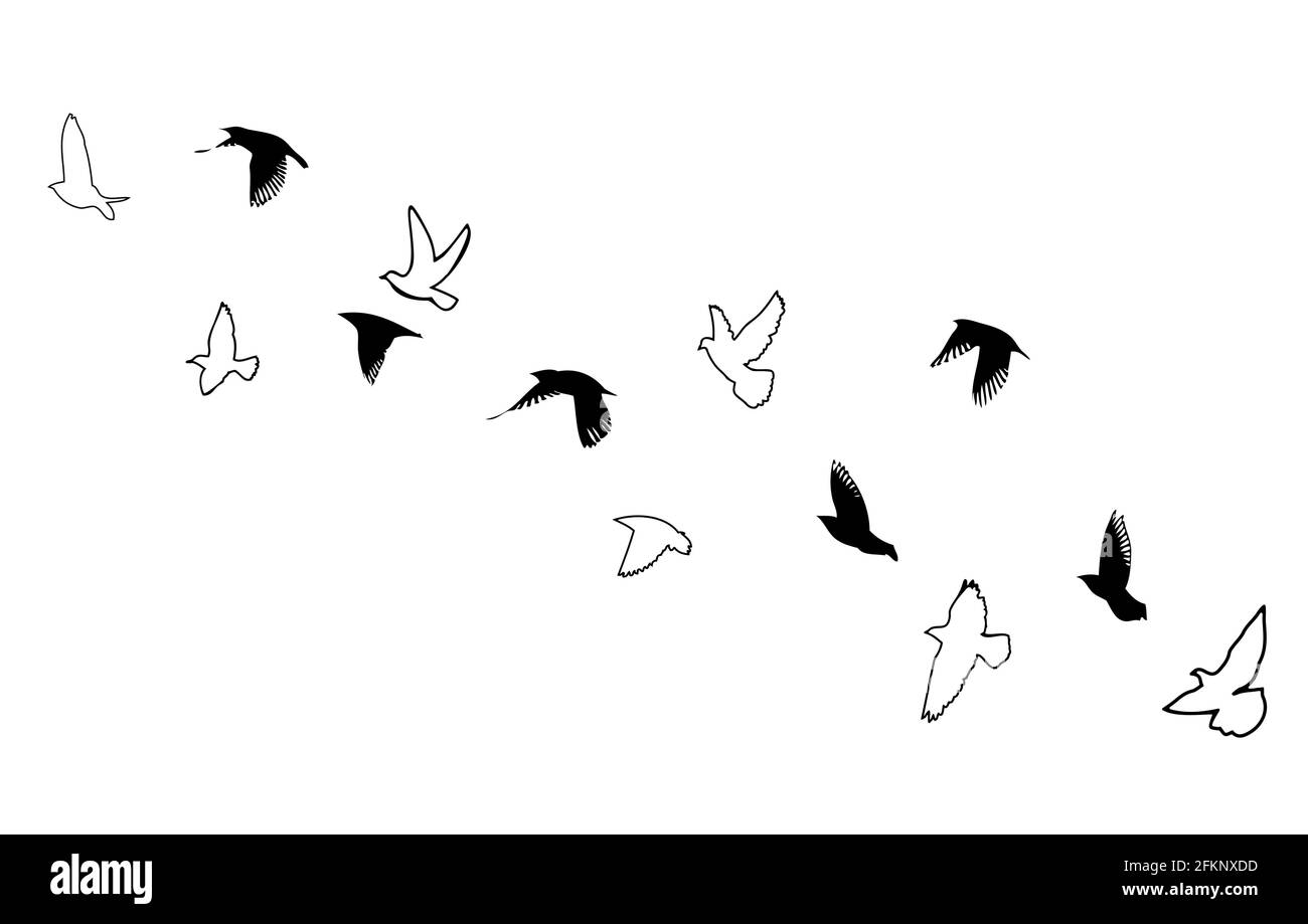 A flock of flying birds. Vector illustration Stock Vector Image & Art ...