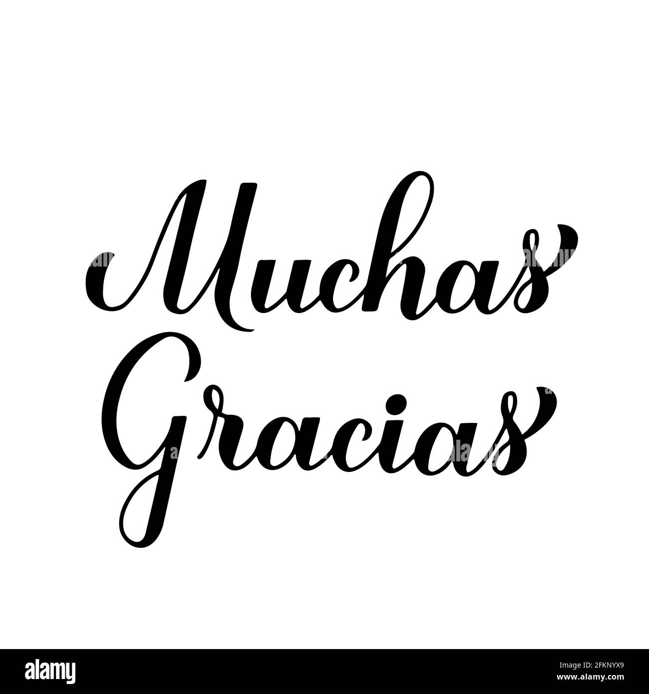 Thank you very much calligraphy hand lettering in Spanish language isolated on white background