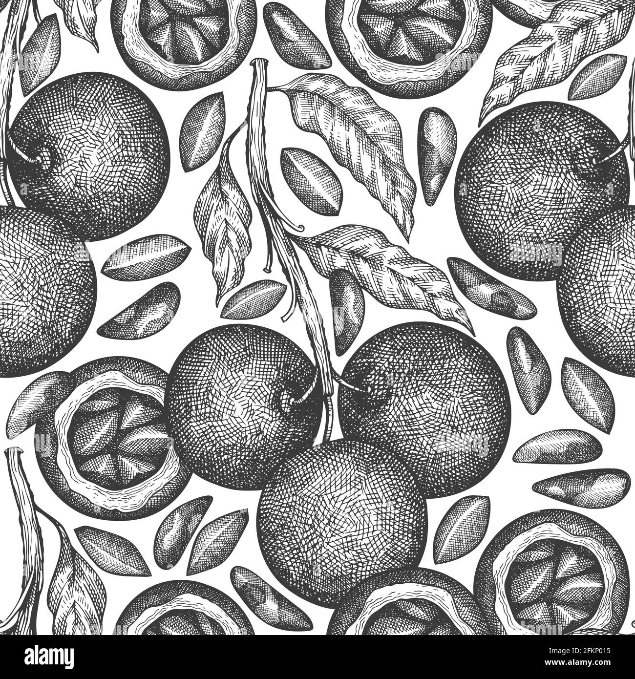 Hand drawn brazilian nut branch and kernels seamless pattern. Organic ...