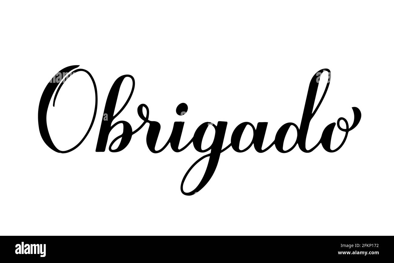 Thank you calligraphy hand lettering in Portuguese language isolated on white background. Vector template for wedding thank you card, tag, banner, pos Stock Vector