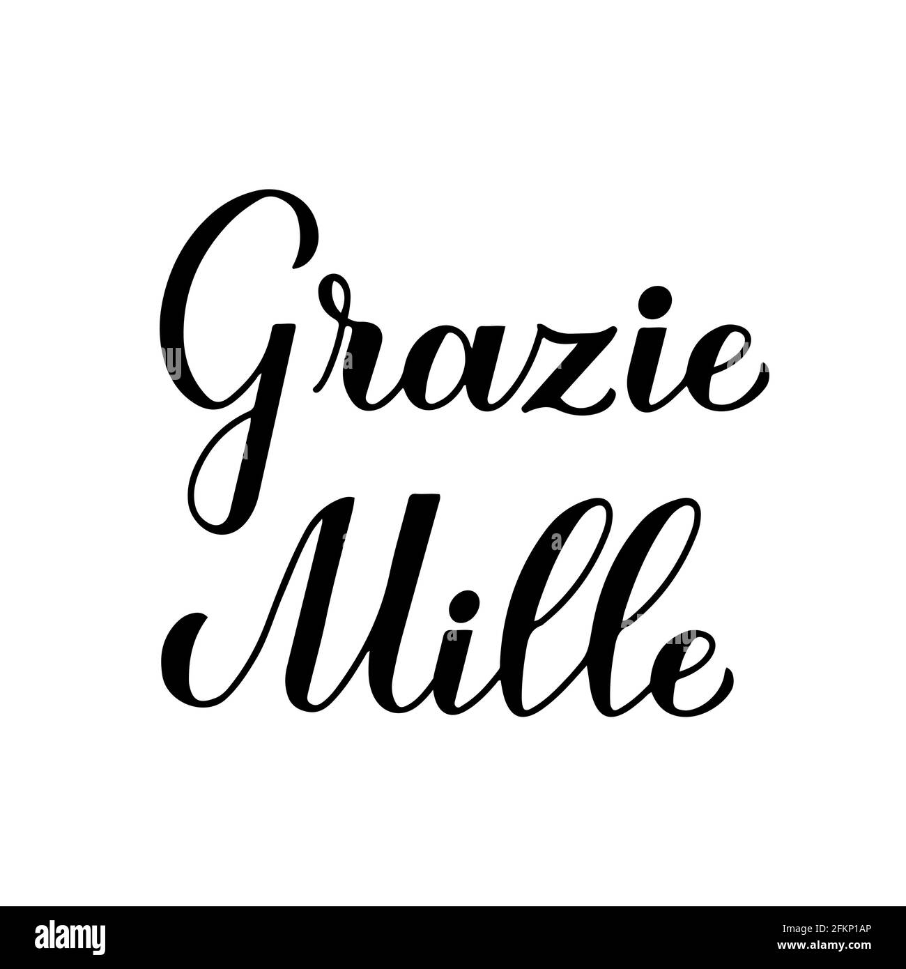 Thank you very much calligraphy hand lettering in Italian language isolated on white background. Vector template for wedding thank you card, tag, bann Stock Vector