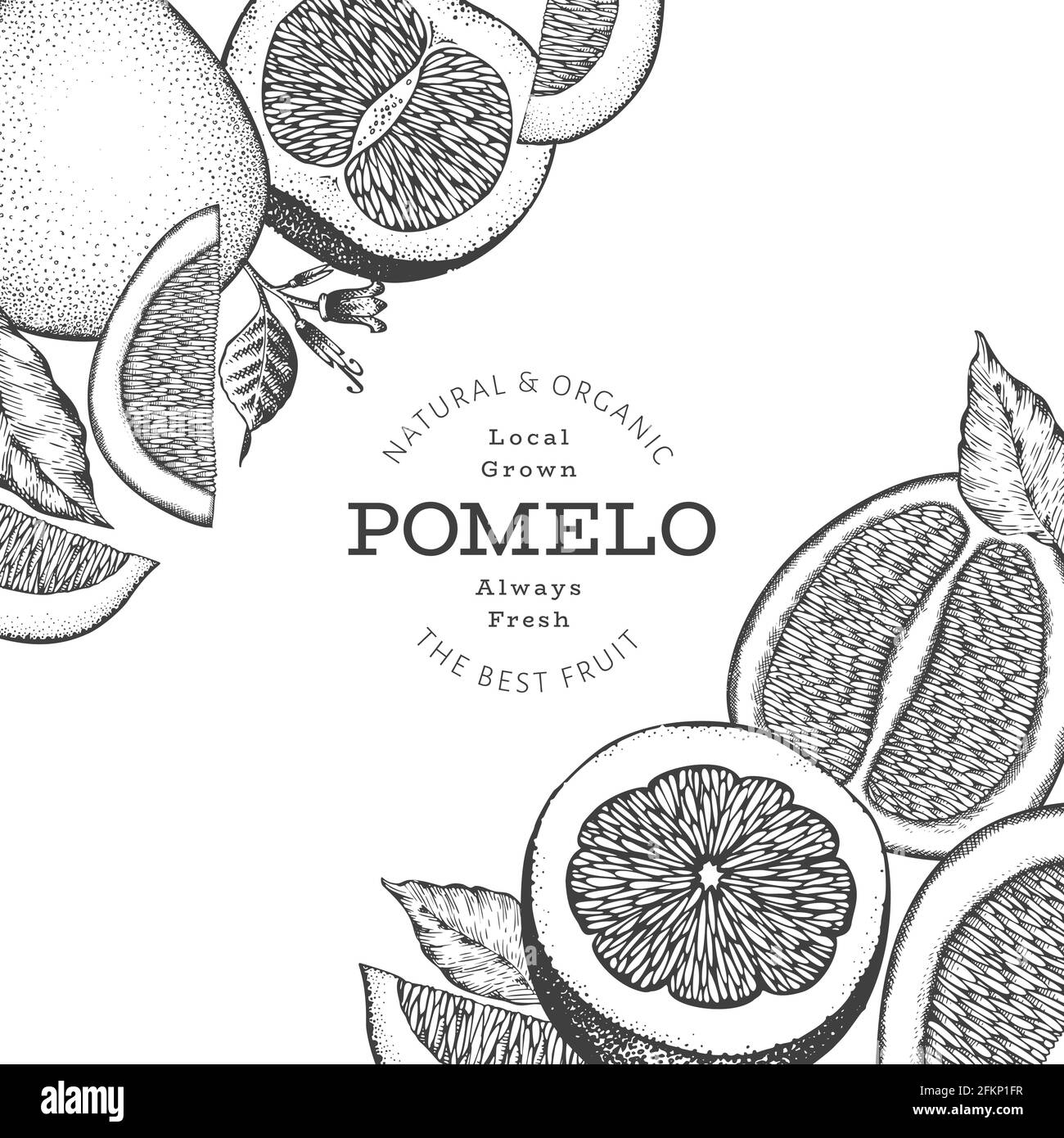 Pomelo vector vectors Black and White Stock Photos & Images Alamy
