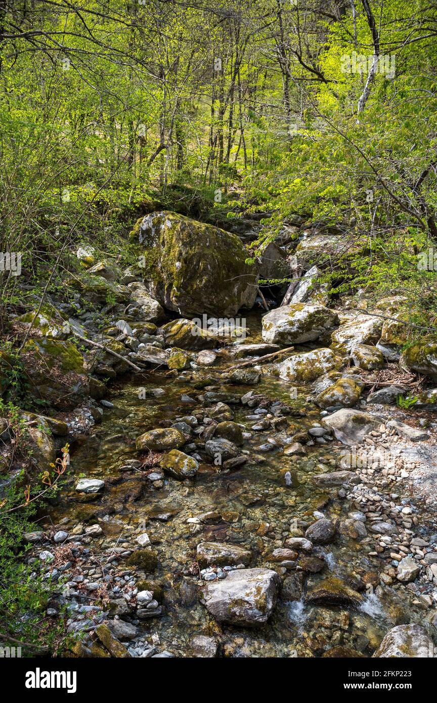 creek in forest near Maggia, Ticino Stock Photo