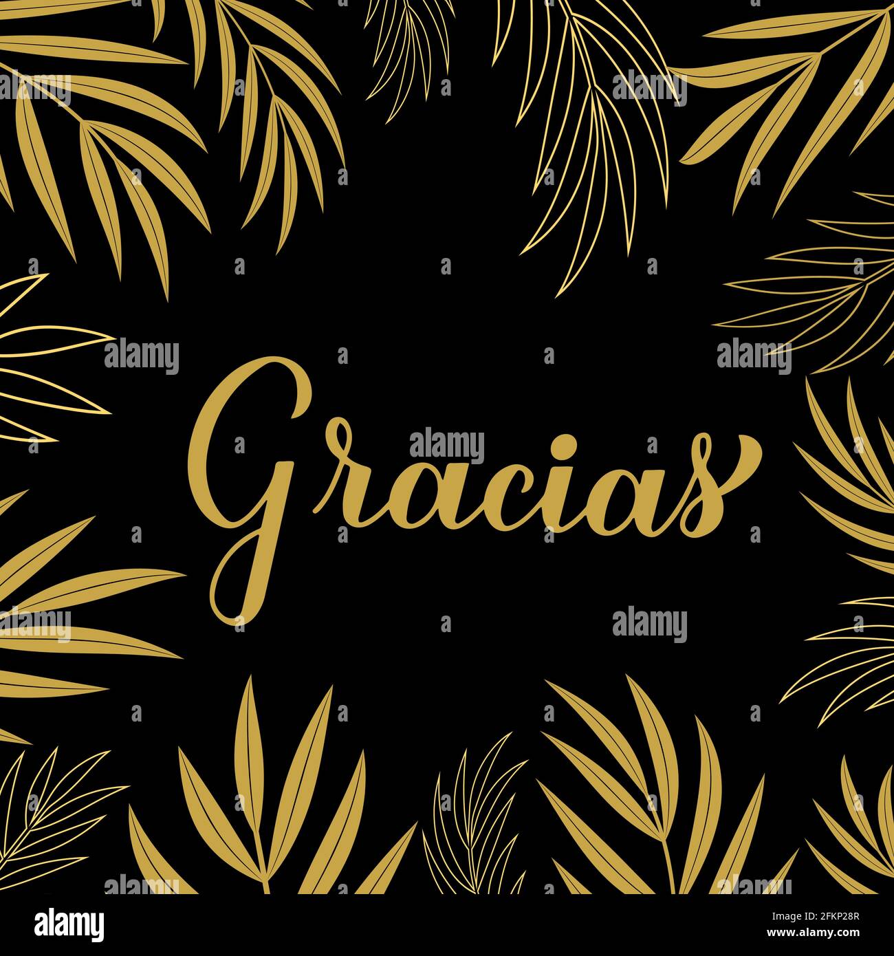 Thank you card. Calligraphy hand lettering in Spanish language. Vector