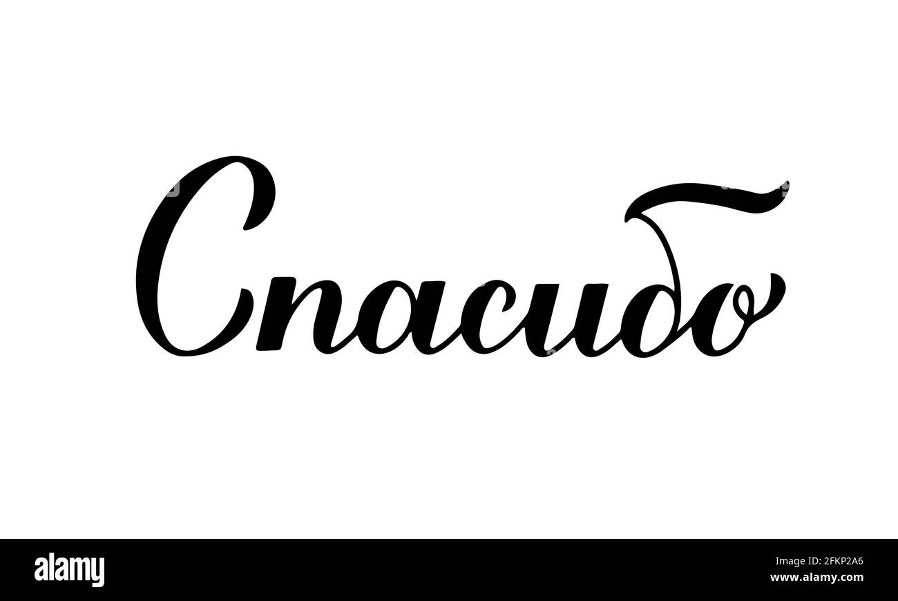 Thank you calligraphy hand lettering in Russian language isolated on white background. Vector template for wedding thank you card, tag, banner, poster Stock Vector