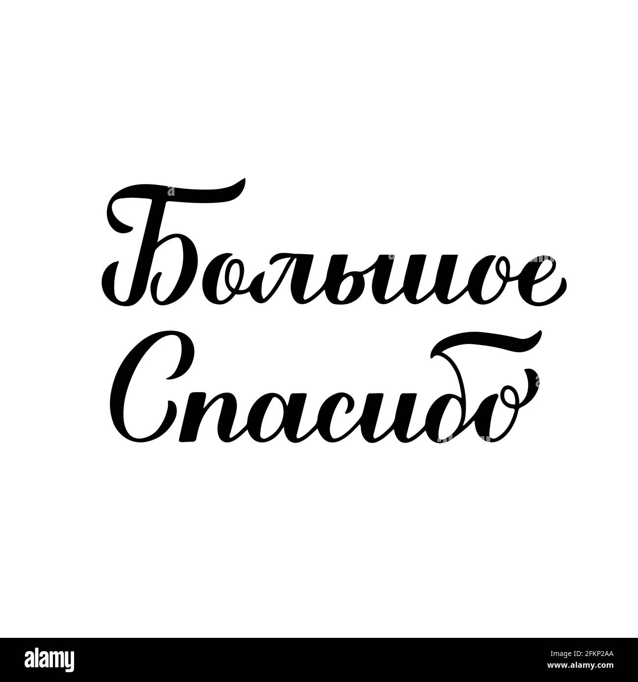 Thank you very much calligraphy hand lettering in Russian language isolated on white background. Vector template for wedding thank you card, tag, bann Stock Vector