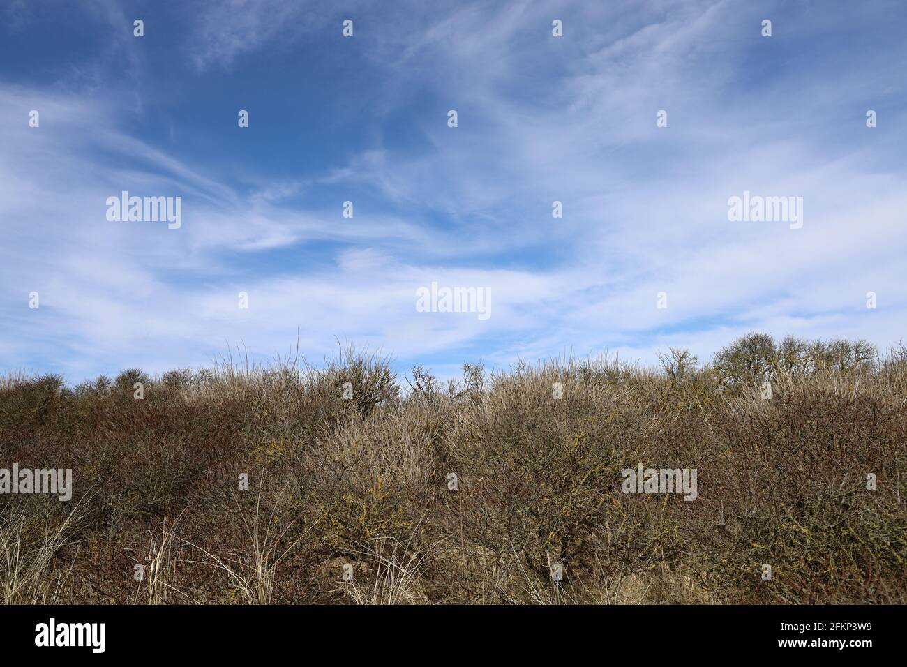 Beautiful view of a dry grassy field near Nr. Lyngby, Denmark Stock Photo