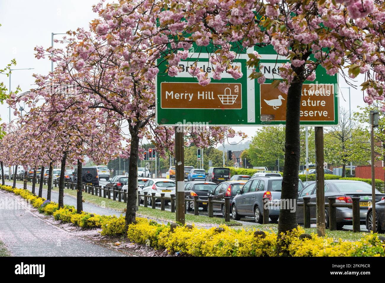 Brierley Hill, West Midlands, UK. 3rd May, 2021. Shoppers in cars queue up to spend their money at Merry Hill shopping centre, Brierley Hill in the West Midlands on a wet and windy Bank Holiday Monday next to an avenue of pink blossom. Peter Lopeman/Alamy Live News Stock Photo