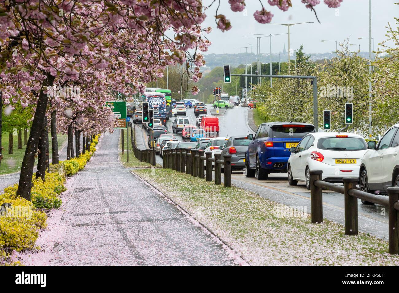 Brierley Hill, West Midlands, UK. 3rd May, 2021. Shoppers in cars queue up to spend their money at Merry Hill shopping centre, Brierley Hill in the West Midlands on a wet and windy Bank Holiday Monday next to an avenue of pink blossom. Peter Lopeman/Alamy Live News Stock Photo