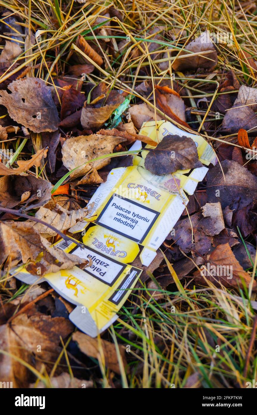 POZNAN, POLAND - Feb 18, 2016: Empty wet Camel cigarettes box on leaves and  grass damaging the environment Stock Photo - Alamy