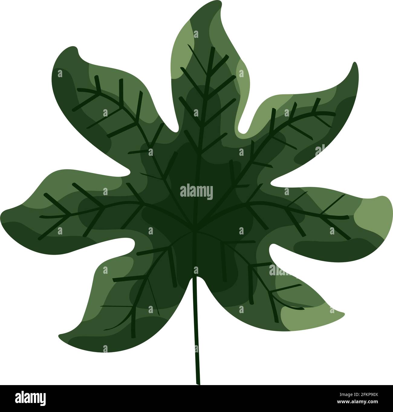green tropical leaf nature icon Stock Vector Image & Art - Alamy