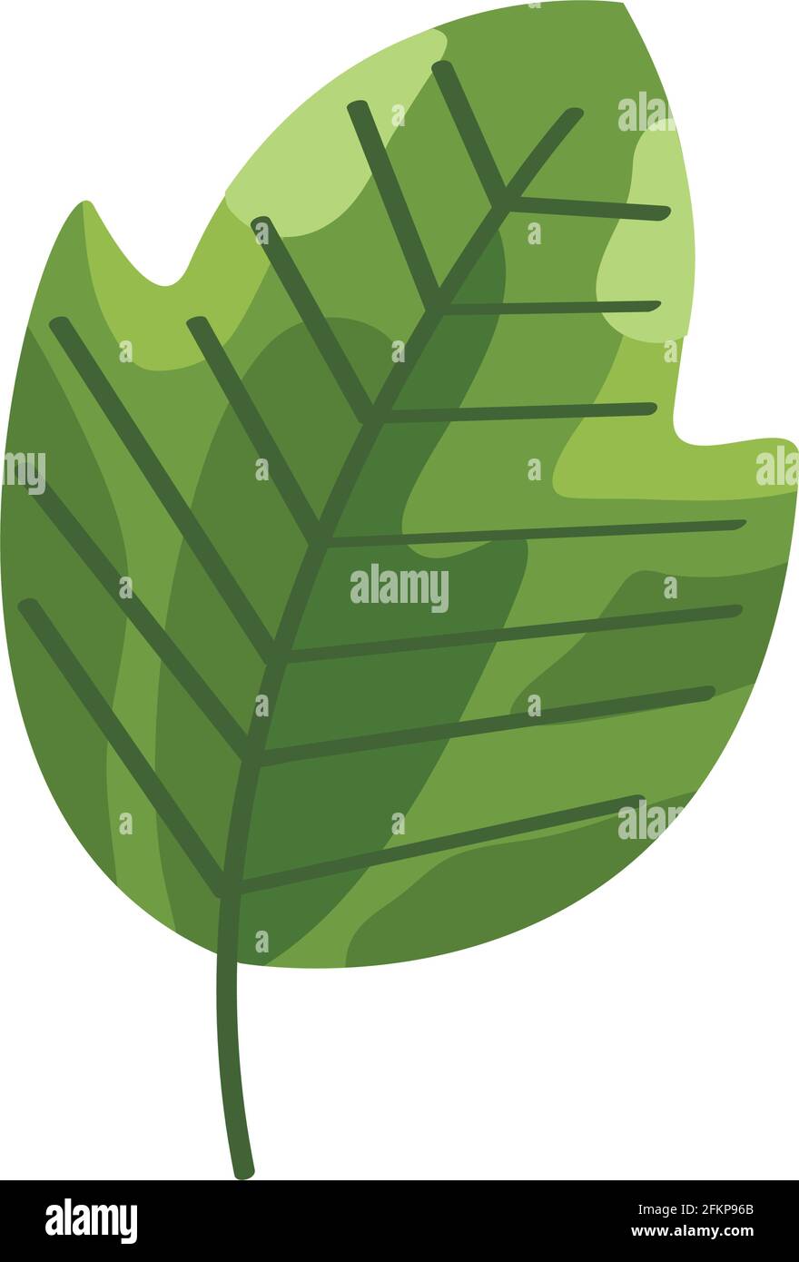 eco leaf green garden icon Stock Vector Image & Art - Alamy