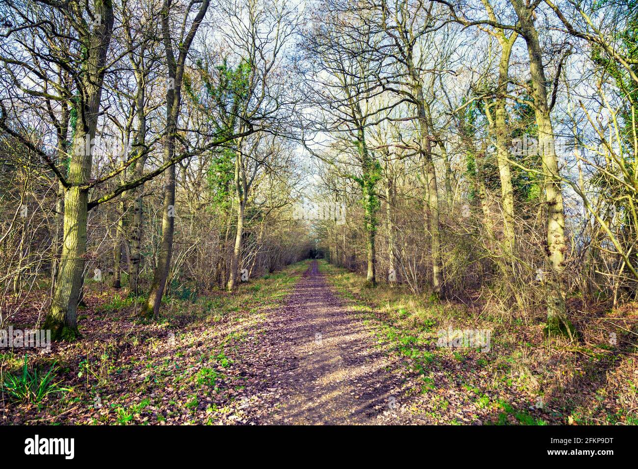 Maulden hires stock photography and images Alamy